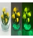 Светильник-цветы LED Grace (5 жёлтых тюльпанов с зелёной подсветкой)