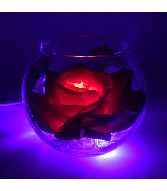 Ночник "Светодиодные цветы" LED Secret, красная роза с синей подсветкой — Купить по низкой цене в интернет-магазине