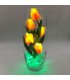 Светильник-цветы LED Grace (5 оранжевых тюльпанов с зелёной подсветкой)