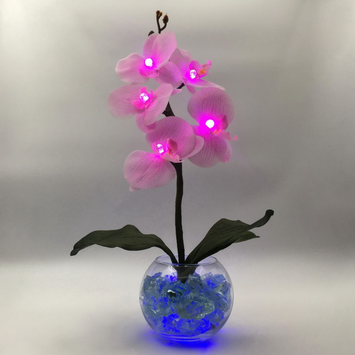 Ночник "Светодиодные цветы" LED Provocation, 5 малиновых орхидей с синей подсветкой — Купить по низкой цене в интернет-магазине