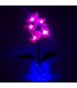 Ночник "Светодиодные цветы" LED Provocation, 5 малиновых орхидей с синей подсветкой — Купить по низкой цене в интернет-магазине