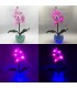 Светильник-цветы LED Provocation (5 малиновых орхидей с синей подсветкой)