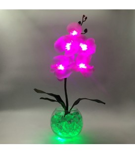 Ночник "Светодиодные цветы" LED Provocation, 5 малиновых орхидей с зелёной подсветкой — Купить по низкой цене в