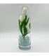 Светильник-цветы LED Florarium (3 белых тюльпана с зелёной подсветкой)