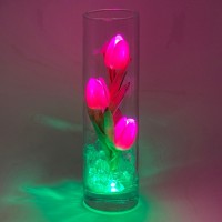 Светильник-цветы LED Florarium (3 розовых тюльпана с зелёной подсветкой)