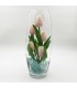Светильник-цветы LED Grace (5 розовых тюльпанов с синей подсветкой)