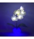 Ночник "Светодиодные цветы" LED Provocation, 5 белых орхидей с синей подсветкой — Купить по низкой цене в интернет-магазине