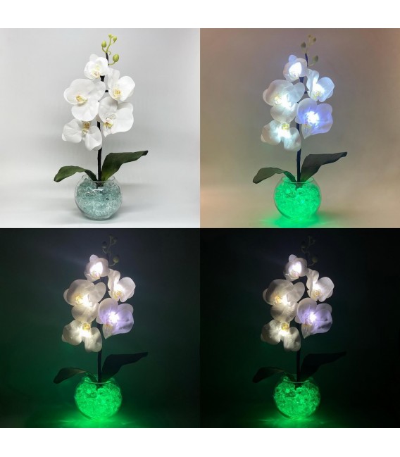 Ночник "Светодиодные цветы" LED Provocation, 5 белых орхидей с зелёной подсветкой — Купить по низкой цене в интернет-магазине