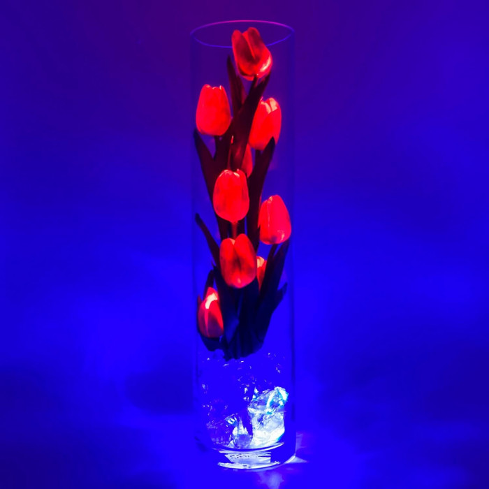 Ночник "Светодиодные цветы" LED Spirit, 9 красных тюльпанов с синей подсветкой — Купить по низкой цене в интернет-магазине